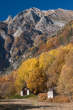 20101105_133659 Boschi sopra Dasile.jpg